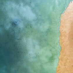 Conviértete en fotógrafo autodidacta: Tips y consejos Conviértete en fotógrafo autodidacta: Tips y consejos