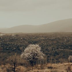 Consejos de iluminación para mejorar tus fotografías Consejos de iluminación para mejorar tus fotografías