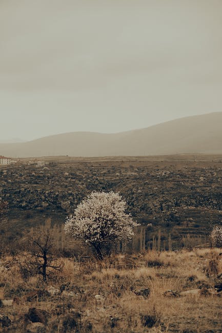 Consejos para capturar fotos irresistibles en Instagram