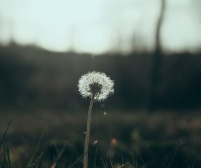 Tips for finding the perfect angle for your photos