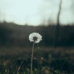 Fotografía de bebés en casa: consejos y trucos Fotografía de bebés en casa: consejos y trucos